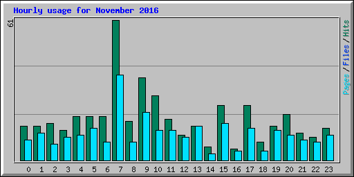 Hourly usage for November 2016