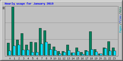 Hourly usage for January 2019